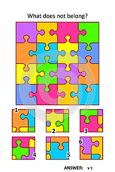 Visual puzzle with picture fragments. Abstract jigsaw puzzle design pattern. What does not belong? photo